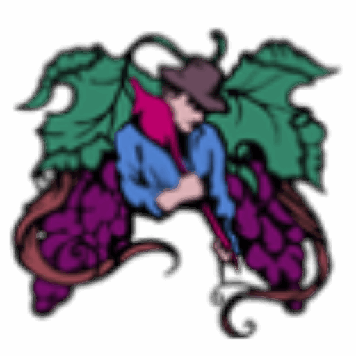 Vinohradníctvo a vinárstvo Vladár a syn - farebné logo